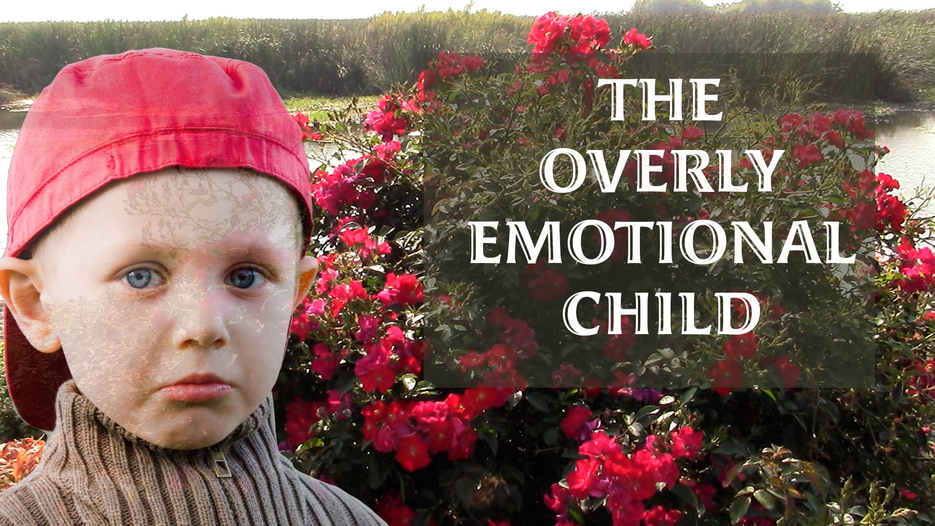 Overly Emotional Child